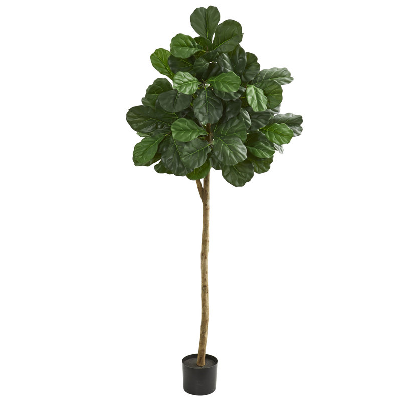 Charlton Home Artificial 84" Fiddle Leaf Fig Tree in Planter & Reviews
